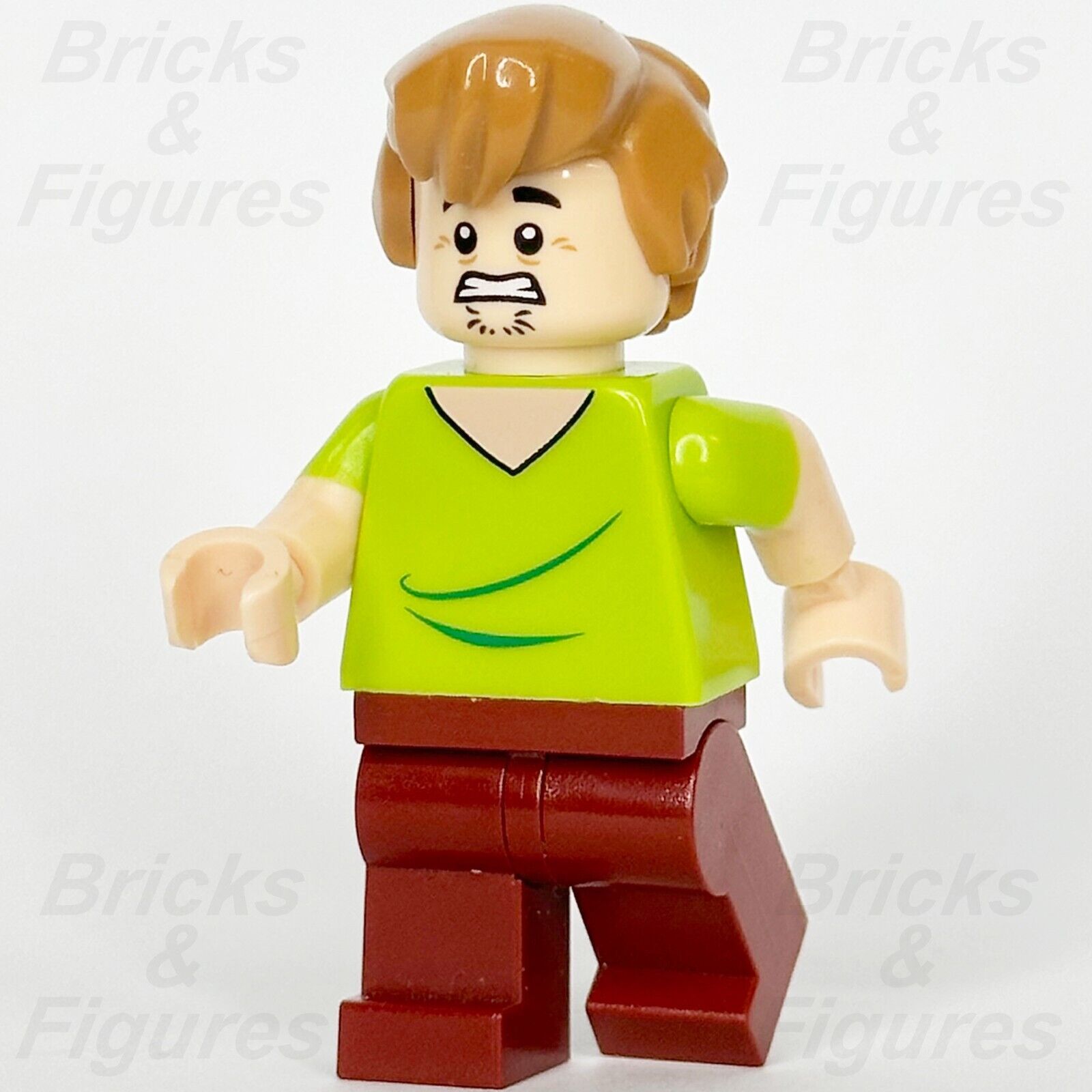 LEGO Scooby-Doo Shaggy Rogers Minifigure Closed Mouth 75900 75901 71206 scd001 - Bricks & Figures