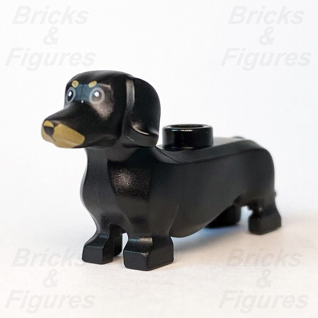 LEGO City Black Dachshund Sausage Dog Animal Build-A-Minifigure BAM 2020 Town - Bricks & Figures