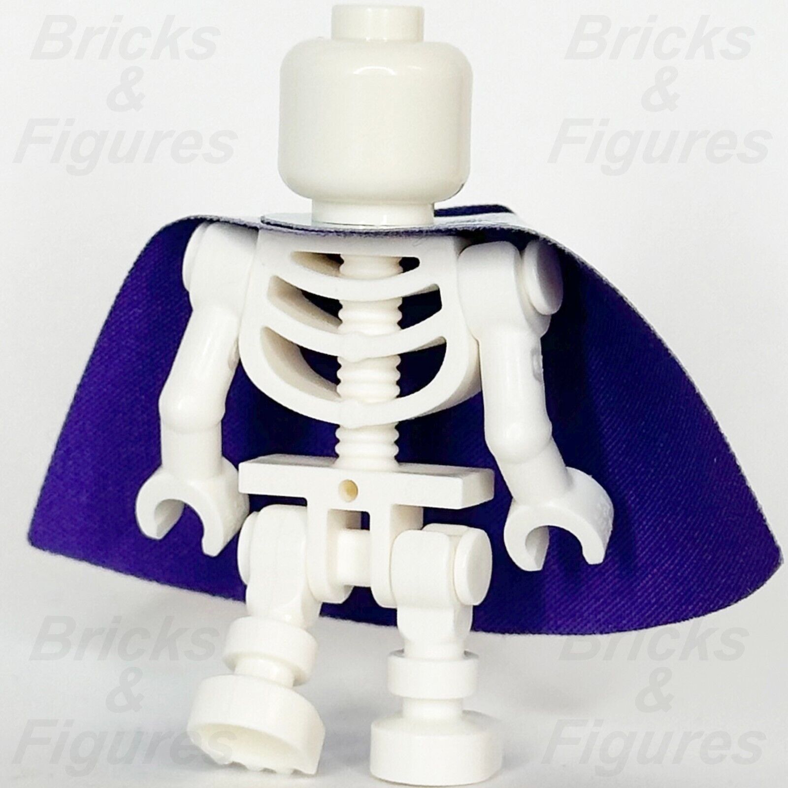 LEGO Dungeons & Dragons Kildar the Wizard Minifigure Ideas Skeleton Cape 21348 - Bricks & Figures