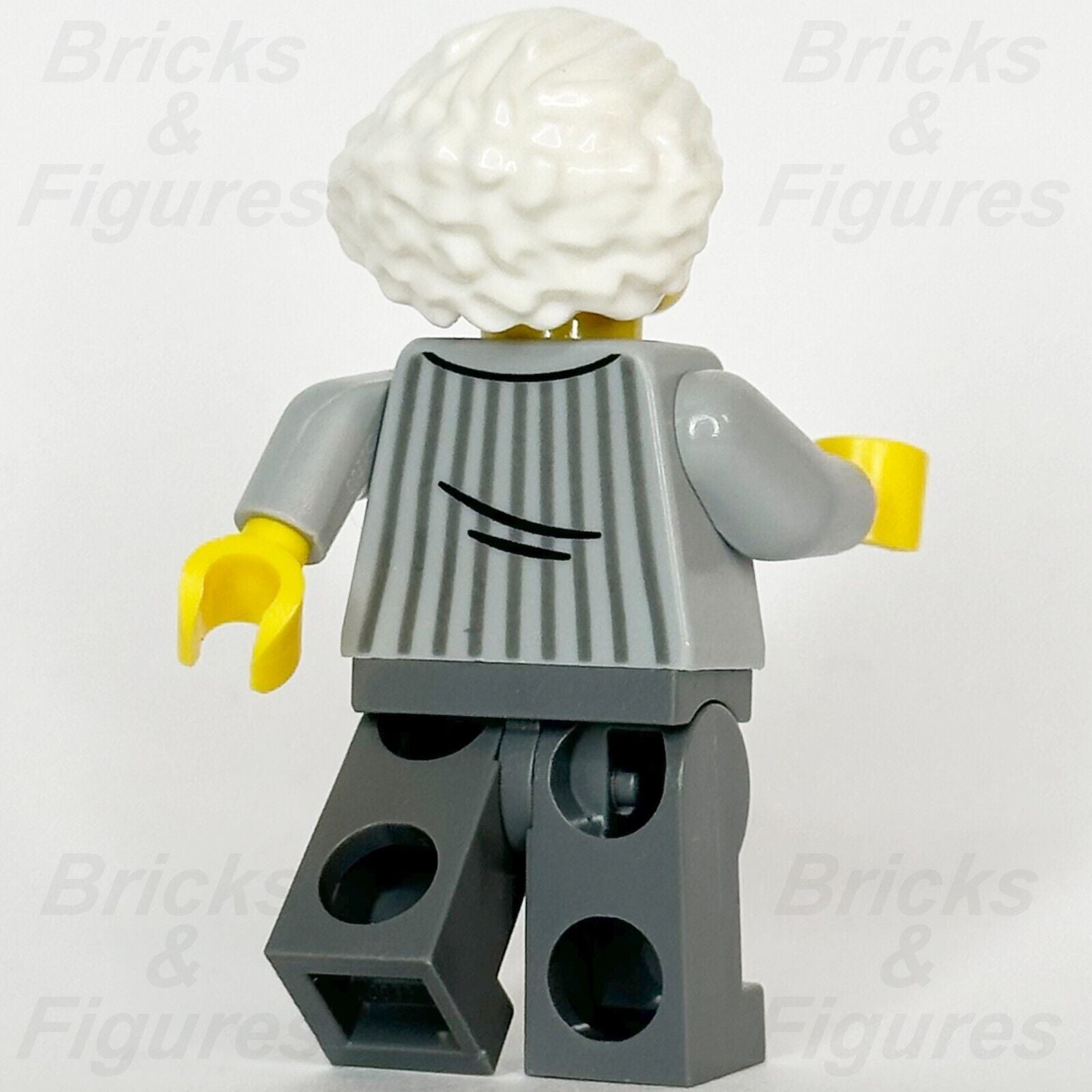 LEGO Ideas Scientist Minifigure Orient Express Passenger Train 21344 idea173 - Bricks & Figures