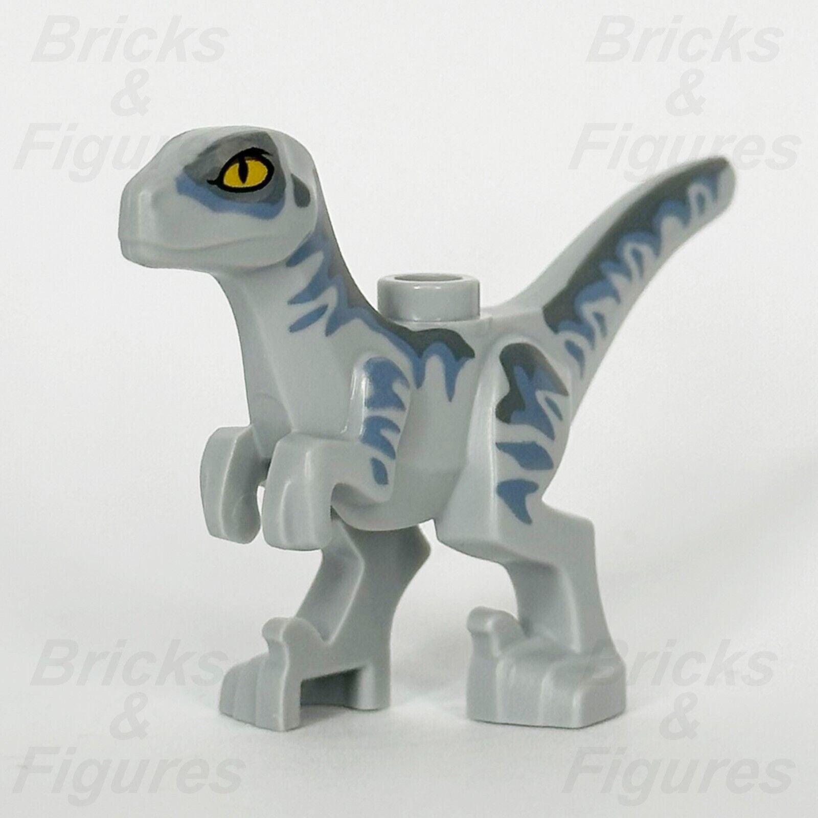 LEGO Jurassic World Baby Raptor Dinosaur Minifigure Part Grey & Blue 76963 76965