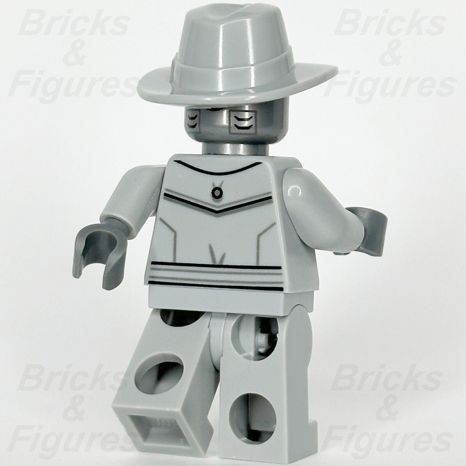 Ninjago detective zane sale